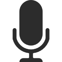Voice Input